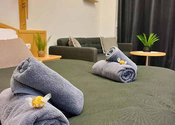 Spacious In Center Apartmán